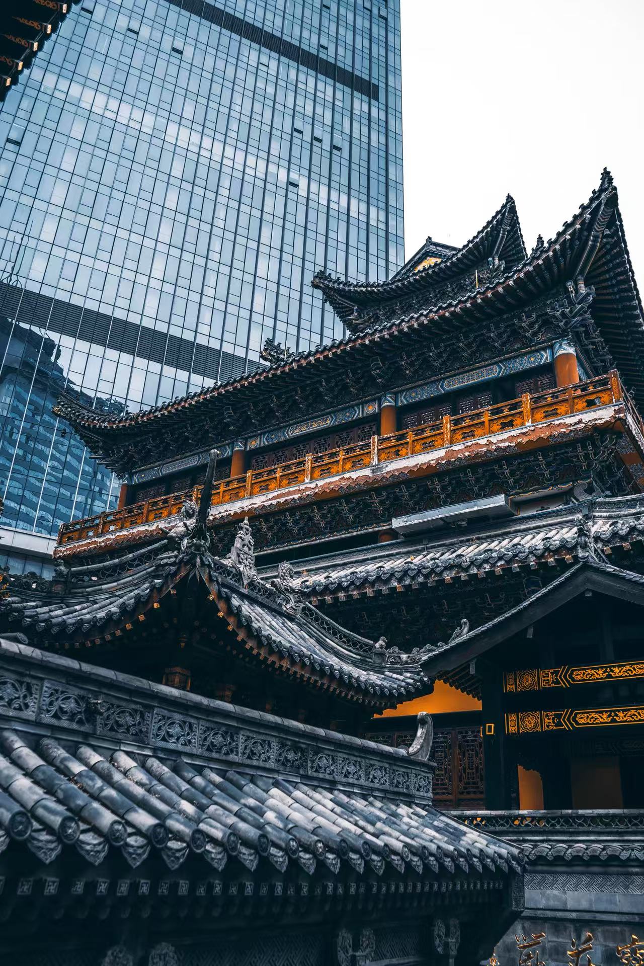 摄影08